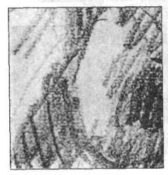 Иллюстрация к книге — Анатомия страха [pic_13.png]