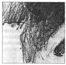 Иллюстрация к книге — Анатомия страха [pic_14.png]