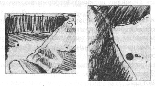 Иллюстрация к книге — Анатомия страха [pic_20.png]