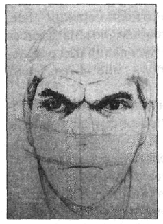 Иллюстрация к книге — Анатомия страха [pic_3.png]