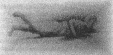 Иллюстрация к книге — Анатомия страха [pic_35.png]