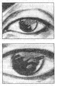 Иллюстрация к книге — Анатомия страха [pic_36.png]