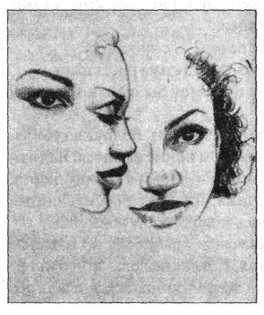 Иллюстрация к книге — Анатомия страха [pic_43.png]