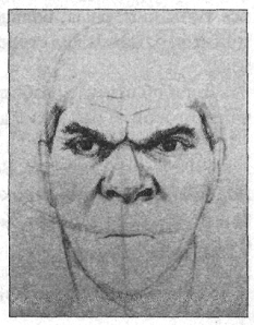 Иллюстрация к книге — Анатомия страха [pic_5.png]