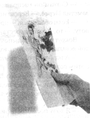 Иллюстрация к книге — Анатомия страха [pic_69.png]