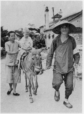 Иллюстрация к книге — Калейдоскоп жизни [i_017.jpg]