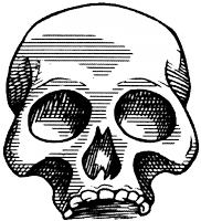 Иллюстрация к книге — Лабиринт теней [i_010.png]