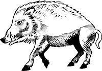 Иллюстрация к книге — Лабиринт теней [i_014.png]