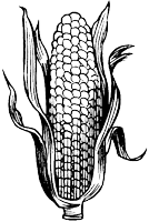 Иллюстрация к книге — Лабиринт теней [i_015.png]