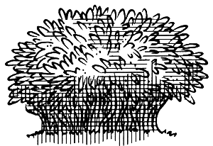 Иллюстрация к книге — Ледяная страна [i_033.png]