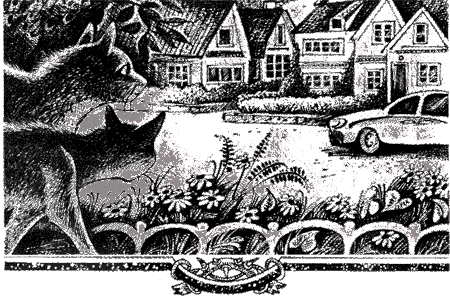 Иллюстрация к книге — Судьба Небесного племени. Решение [i_004.png]