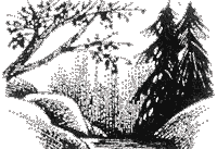 Иллюстрация к книге — Судьба Небесного племени. Решение [i_007.png]