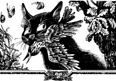 Иллюстрация к книге — Судьба Небесного племени. Решение [i_010.png]