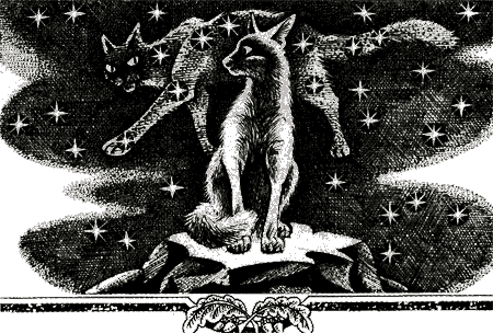 Иллюстрация к книге — Судьба Небесного племени. Решение [i_014.png]