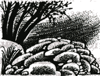 Иллюстрация к книге — Судьба Небесного племени. Решение [i_015.png]