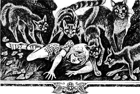 Иллюстрация к книге — Судьба Небесного племени. Решение [i_022.png]