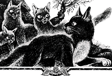 Иллюстрация к книге — Судьба Небесного племени. Решение [i_026.png]