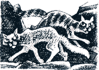 Иллюстрация к книге — Судьба Небесного племени. Решение [i_027.png]