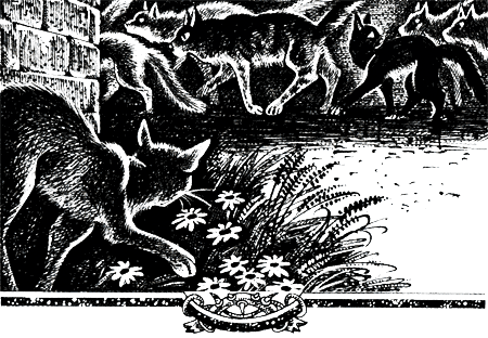 Иллюстрация к книге — Судьба Небесного племени. Решение [i_028.png]