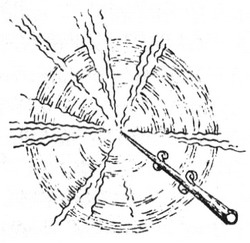 Иллюстрация к книге — Ловушка для волшебников [glava061.jpg]