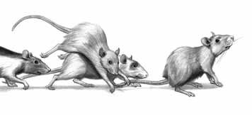 Иллюстрация к книге — Легенды средней школы Лавкрафта [i_004.jpg]