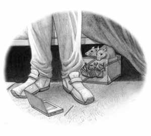 Иллюстрация к книге — Легенды средней школы Лавкрафта [i_008.jpg]