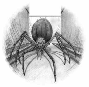 Иллюстрация к книге — Легенды средней школы Лавкрафта [i_014.jpg]