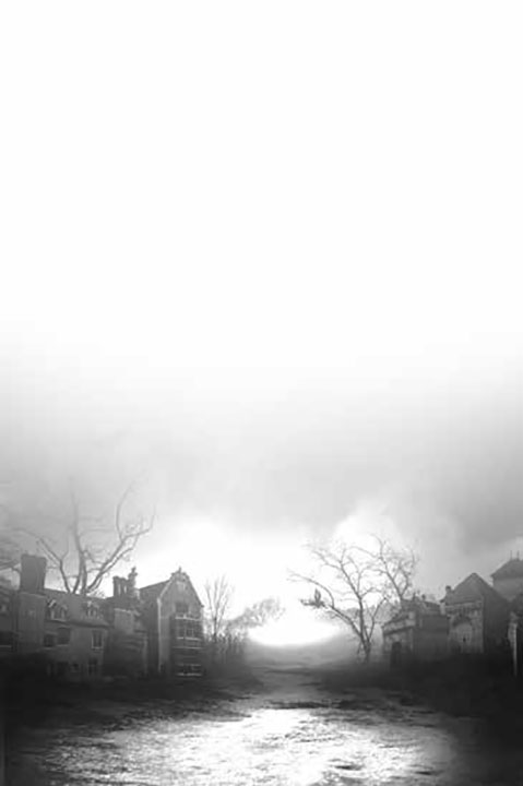 Иллюстрация к книге — Еще жива [i_001.jpg]