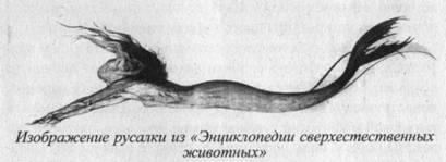 Иллюстрация к книге — Возвращение Рая на Землю [image007.jpg]