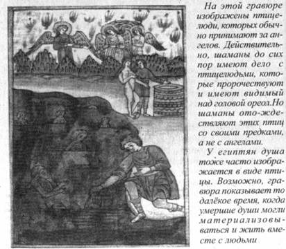 Иллюстрация к книге — Возвращение Рая на Землю [image028.jpg]