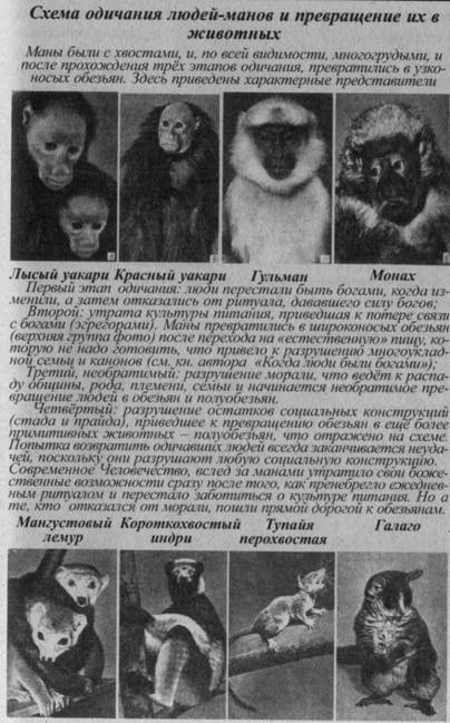 Иллюстрация к книге — Возвращение Рая на Землю [image034.jpg]