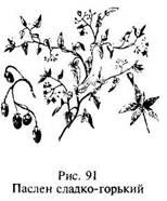 Иллюстрация к книге — Школа выживания в природных условиях [pic_101.jpg]