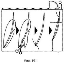 Иллюстрация к книге — Школа выживания в природных условиях [pic_109.jpg]