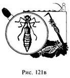 Иллюстрация к книге — Школа выживания в природных условиях [pic_127.jpg]