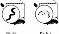 Иллюстрация к книге — Школа выживания в природных условиях [pic_128.jpg]