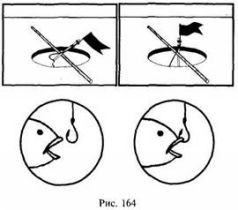 Иллюстрация к книге — Школа выживания в природных условиях [pic_155.jpg]