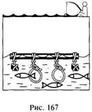 Иллюстрация к книге — Школа выживания в природных условиях [pic_160.jpg]