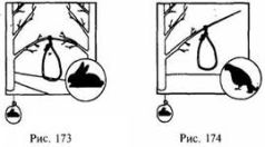 Иллюстрация к книге — Школа выживания в природных условиях [pic_168.jpg]