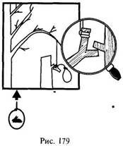 Иллюстрация к книге — Школа выживания в природных условиях [pic_173.jpg]