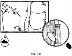 Иллюстрация к книге — Школа выживания в природных условиях [pic_174.jpg]