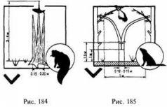 Иллюстрация к книге — Школа выживания в природных условиях [pic_178.jpg]