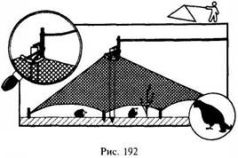 Иллюстрация к книге — Школа выживания в природных условиях [pic_184.jpg]