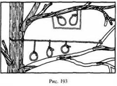Иллюстрация к книге — Школа выживания в природных условиях [pic_185.jpg]