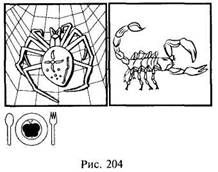 Иллюстрация к книге — Школа выживания в природных условиях [pic_197.jpg]