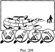 Иллюстрация к книге — Школа выживания в природных условиях [pic_202.jpg]