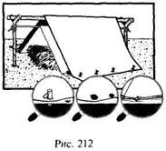 Иллюстрация к книге — Школа выживания в природных условиях [pic_206.jpg]