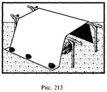 Иллюстрация к книге — Школа выживания в природных условиях [pic_207.jpg]