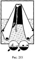 Иллюстрация к книге — Школа выживания в природных условиях [pic_209.jpg]