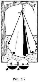 Иллюстрация к книге — Школа выживания в природных условиях [pic_210.jpg]