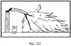Иллюстрация к книге — Школа выживания в природных условиях [pic_217.jpg]